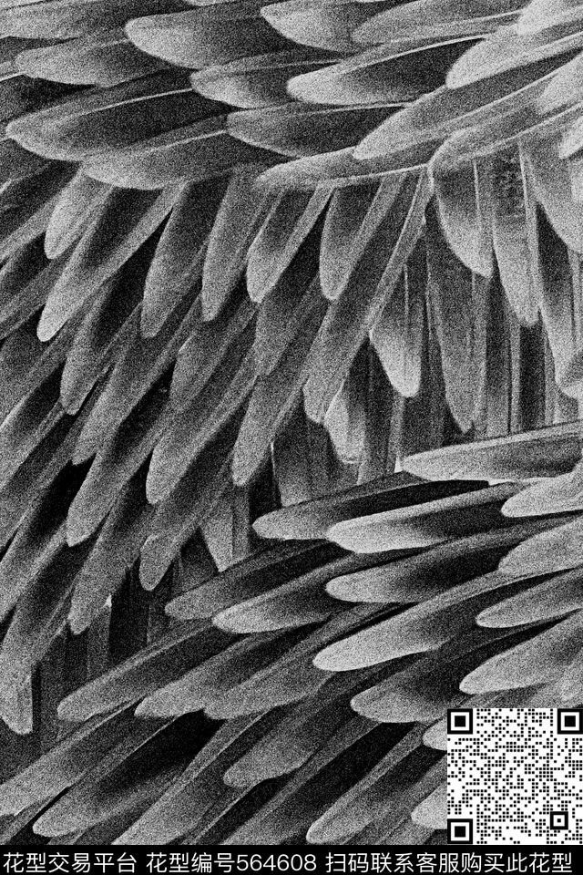 原创时尚大牌酷感黑白暗黑潮流动物纹传统印花华亿平台下载（图片编号: 564608） - 瓦栏（Walan）