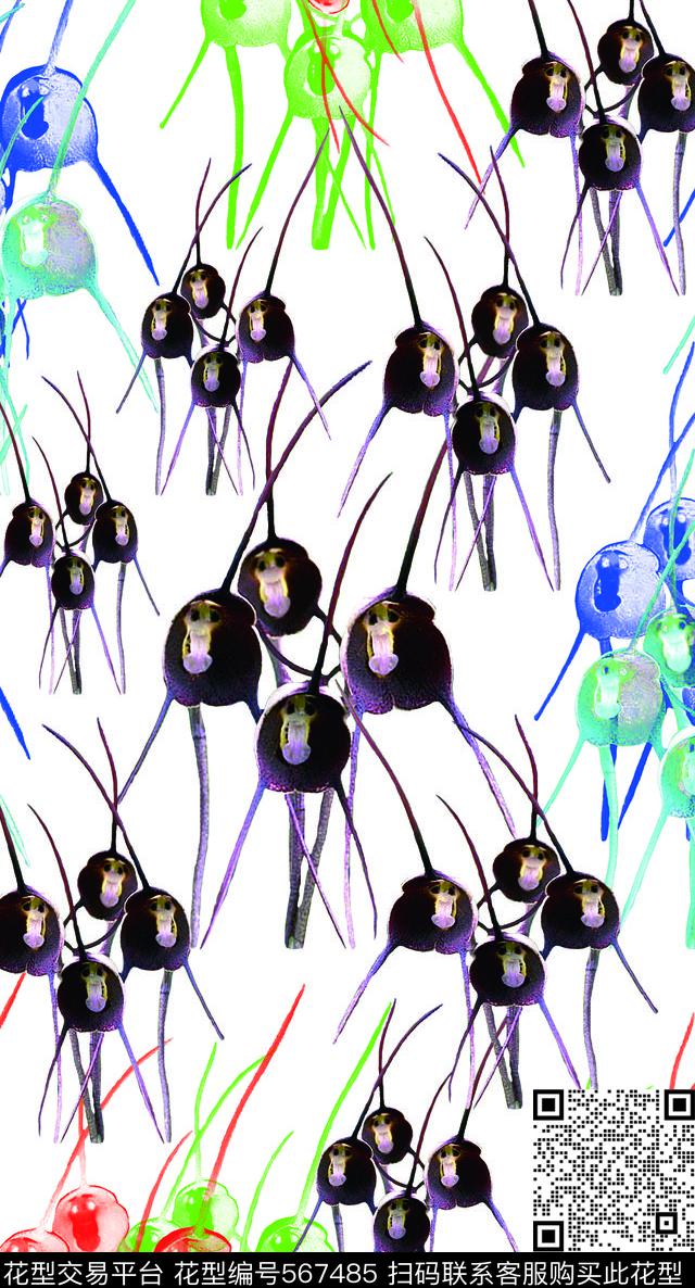 德古拉兰花猴面小龙兰猴年时装数码印花华亿平台下载（图片编号: 567485） - 瓦栏（Walan）