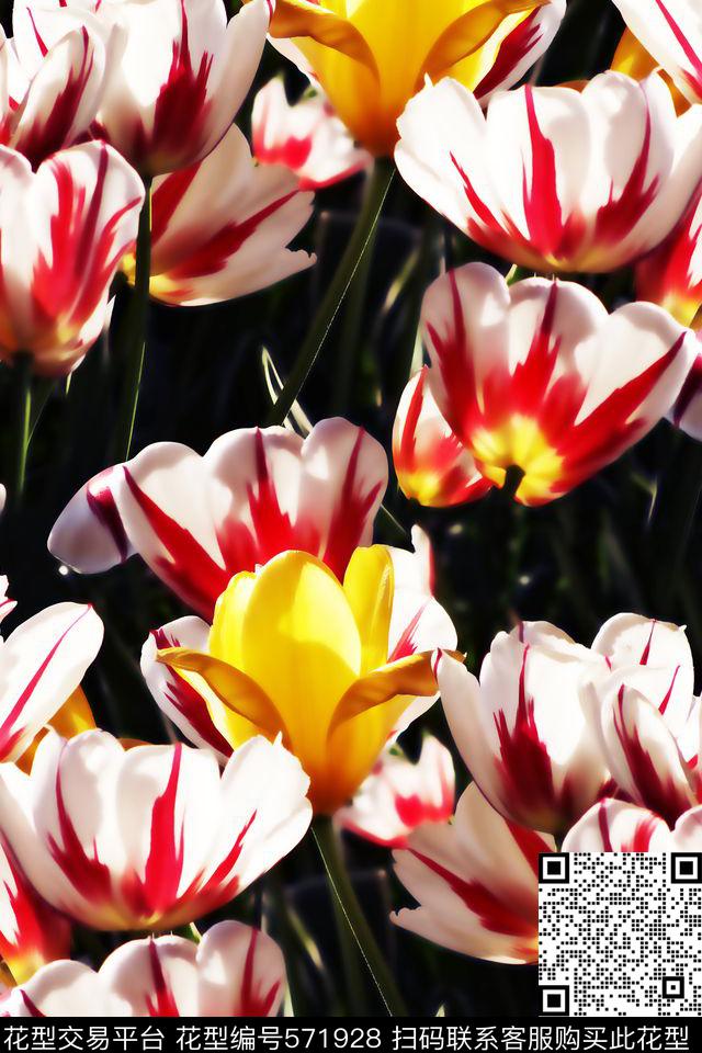 甜美清新花卉郁金香写实数码印花华亿平台下载（图片编号: 571928） - 瓦栏（Walan）