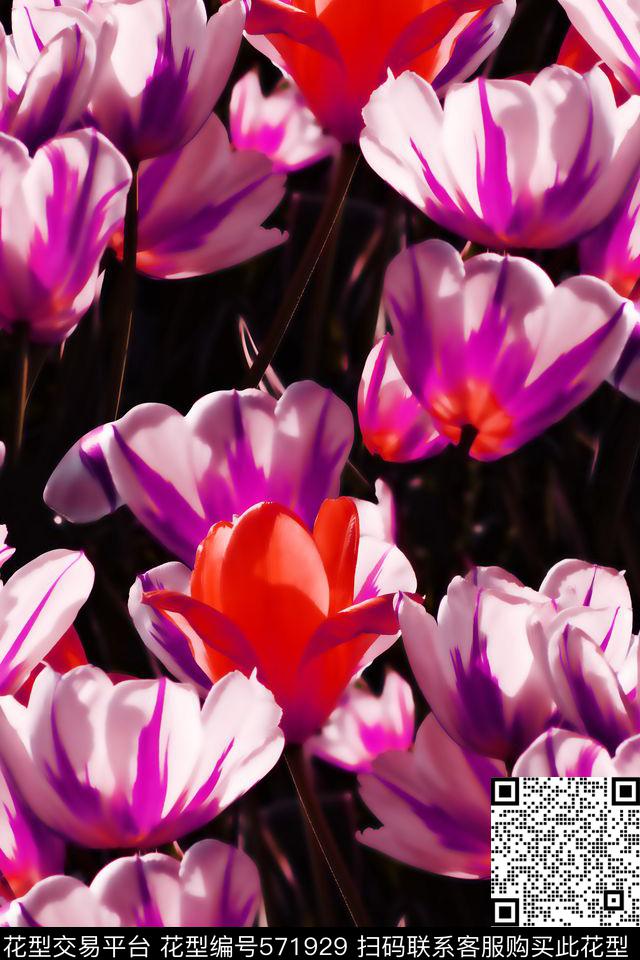 甜美清新花卉郁金香写实数码印花华亿平台下载（图片编号: 571929） - 瓦栏（Walan）