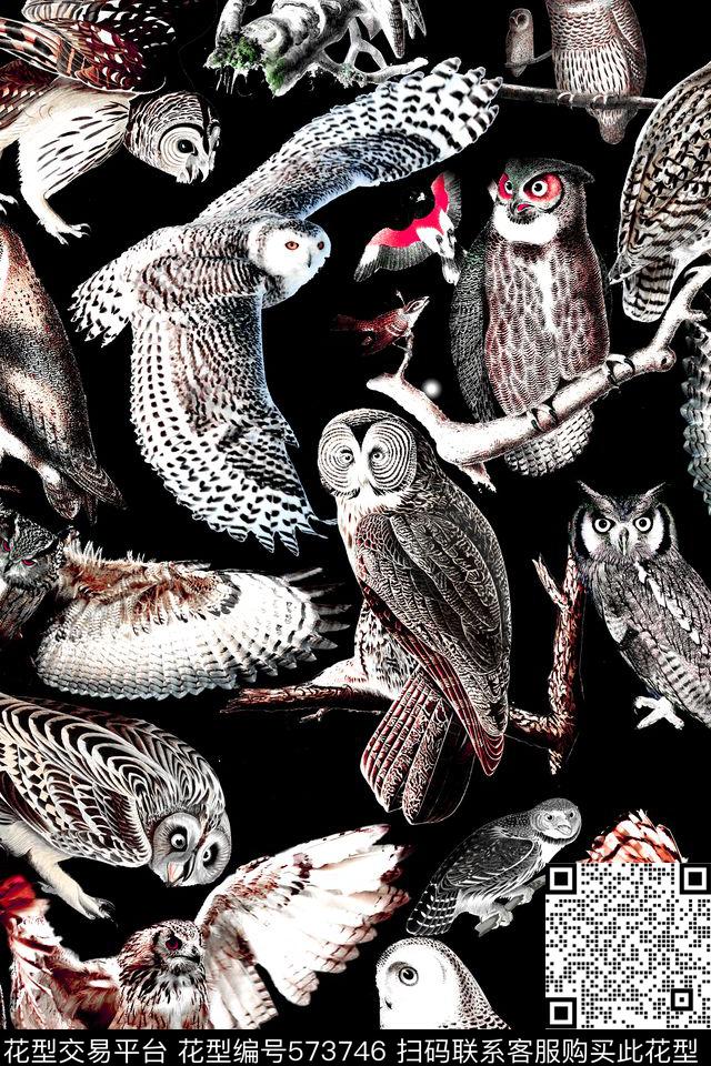 时尚猫头鹰鸟类数码印花华亿平台下载（图片编号: 573746） - 瓦栏（Walan）