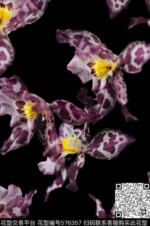 时尚大牌欧美风格花卉创意数码印花华亿平台下载（图片编号: 576357） - 瓦栏（Walan）