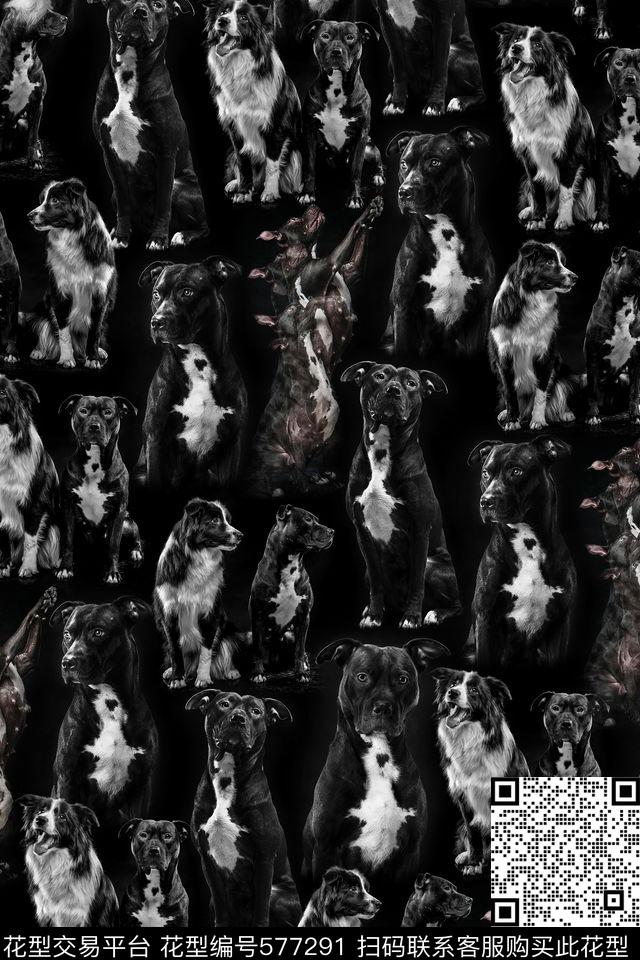 动物狗狗黑白数码印花华亿平台下载（图片编号: 577291） - 瓦栏（Walan）
