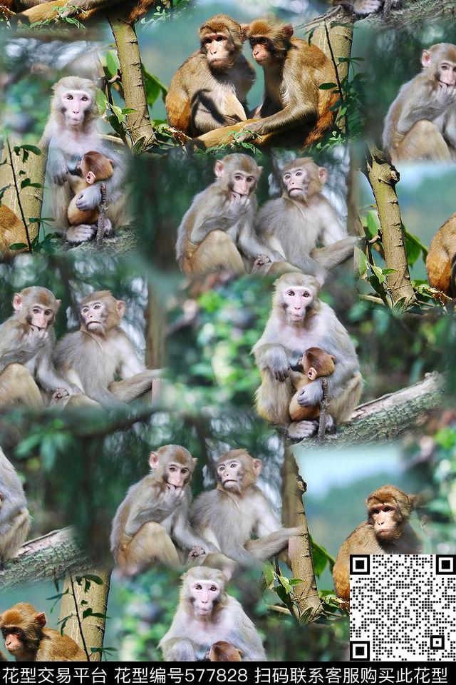 照片景观猴子树枝数码印花华亿平台下载（图片编号: 577828） - 瓦栏（Walan）
