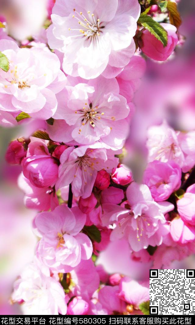 流行时尚花卉桃花数码印花华亿平台下载（图片编号: 580305） - 瓦栏（Walan）