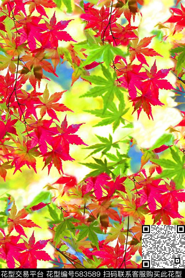 时尚大牌欧美风格彩色叶子自然风景数码印花华亿平台下载（图片编号: 583589） - 瓦栏（Walan）