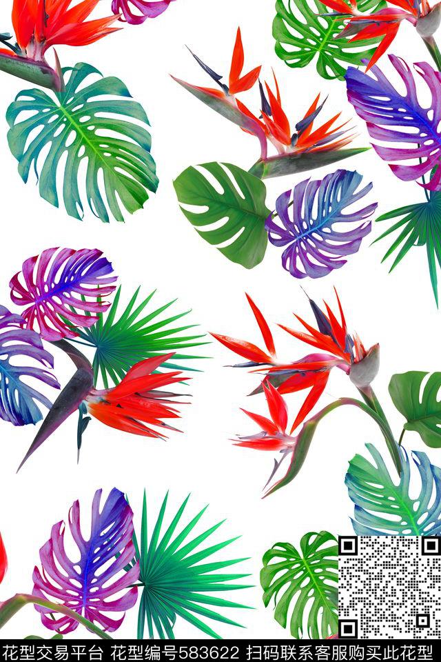 清新热带风热带植物华亿平台天堂鸟华亿平台图案数码印花华亿平台下载（图片编号: 583622） - 瓦栏（Walan）