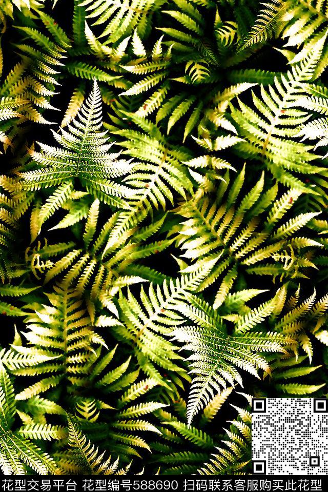 抽象热带树叶数码印花华亿平台下载（图片编号: 588690） - 瓦栏（Walan）