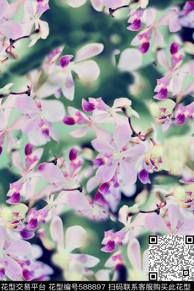 时尚大牌欧美风格花卉春夏华亿平台数码印花华亿平台下载（图片编号: 588897） - 瓦栏（Walan）