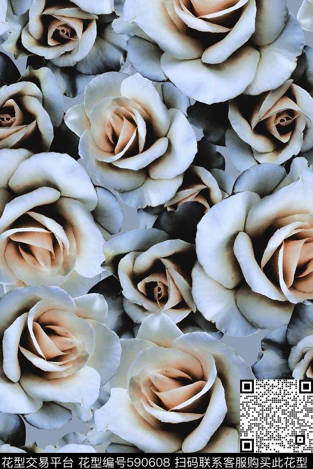 玫瑰大花花朵数码印花华亿平台下载（图片编号: 590608） - 瓦栏（Walan）