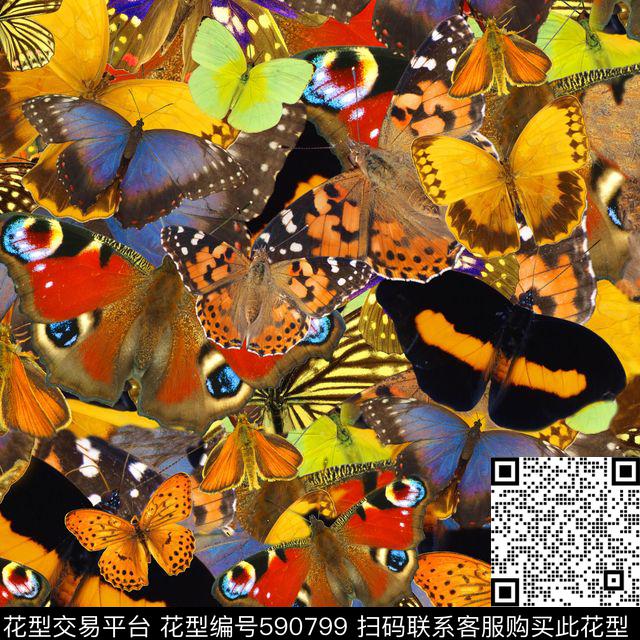 时尚流行风格蝴蝶彩色数码印花华亿平台下载（图片编号: 590799） - 瓦栏（Walan）