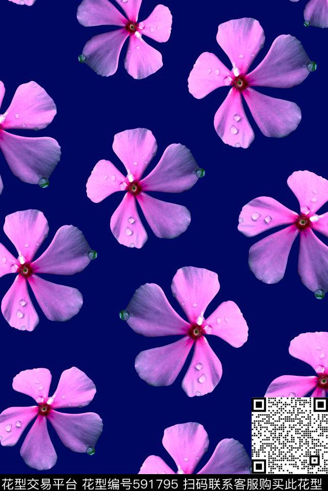 油画时尚大牌潮流女装外套华亿平台卫衣花朵数码印花华亿平台下载（图片编号: 591795） - 瓦栏（Walan）