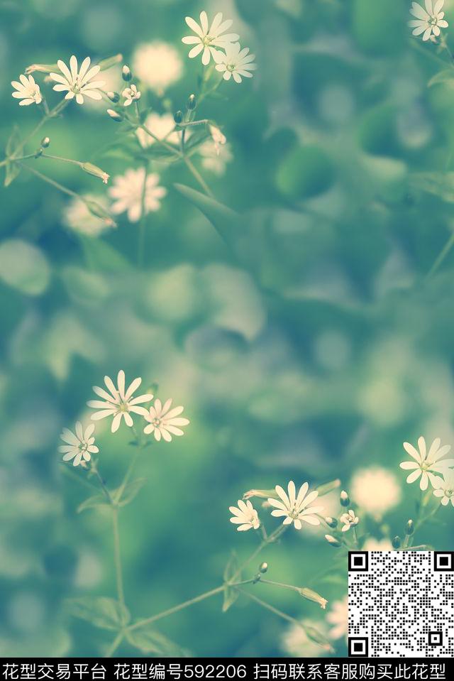 时尚浪漫花卉抽象女装印花数码印花华亿平台下载（图片编号: 592206） - 瓦栏（Walan）