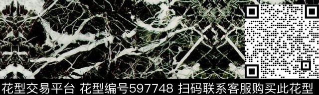 泳装丝绸面料数码印花华亿平台下载（图片编号: 597748） - 瓦栏（Walan）