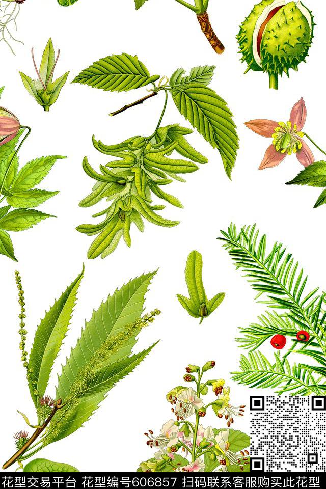 植物纯色底果实数码印花华亿平台下载（图片编号: 606857） - 瓦栏（Walan）