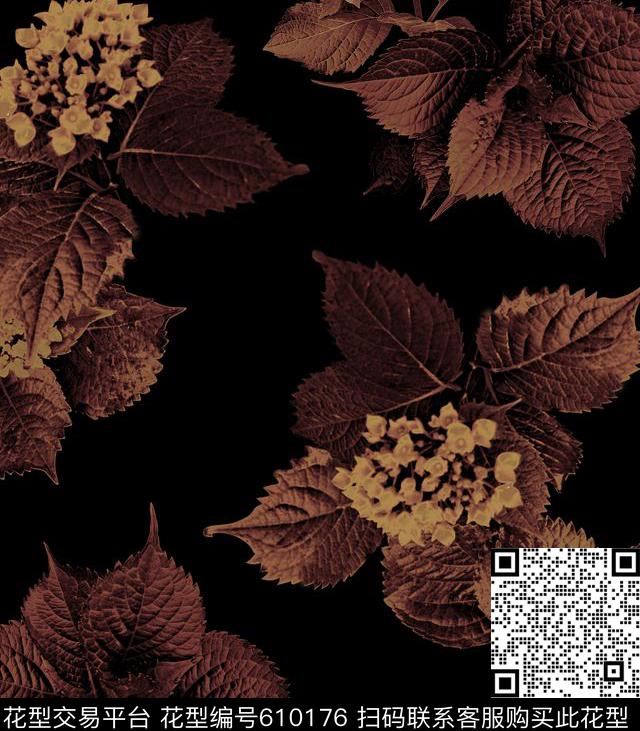 绣球花干花DriedBotanicals数码印花华亿平台下载（图片编号: 610176） - 瓦栏（Walan）