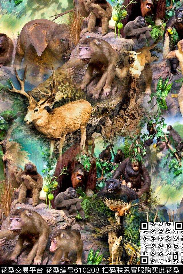 田园动物猴子数码印花华亿平台下载（图片编号: 610208） - 瓦栏（Walan）
