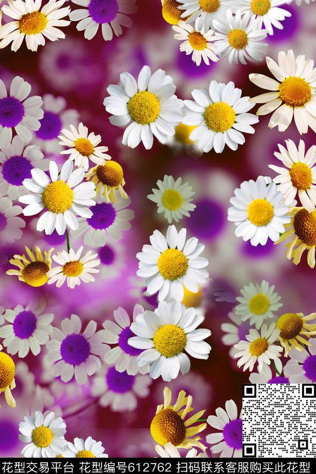 花卉雏菊小花数码印花华亿平台下载（图片编号: 612762） - 瓦栏（Walan）