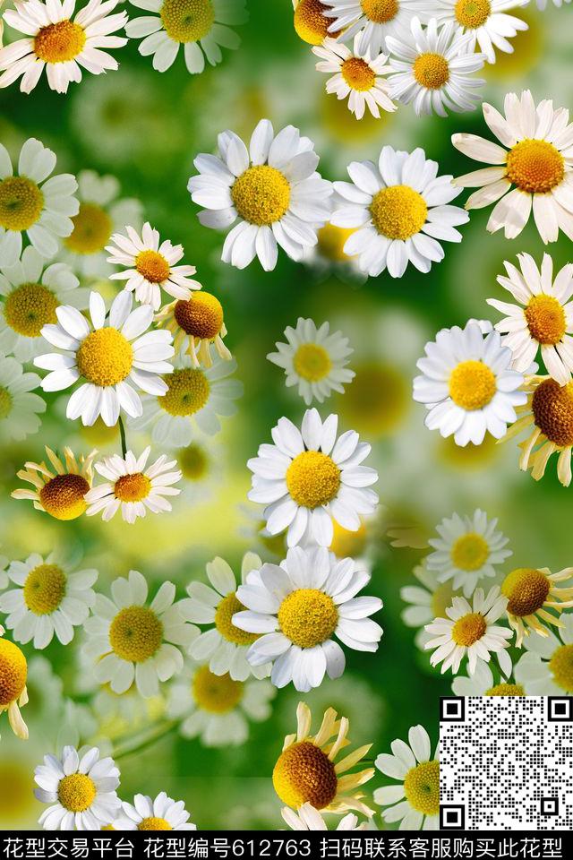 花卉雏菊小花数码印花华亿平台下载（图片编号: 612763） - 瓦栏（Walan）