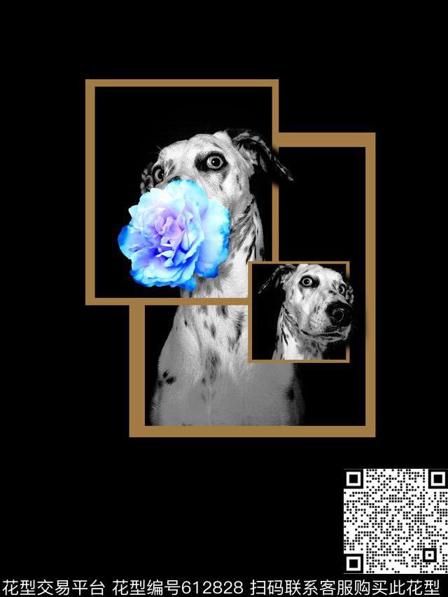 趣味方格狗数码印花华亿平台下载（图片编号: 612828） - 瓦栏（Walan）
