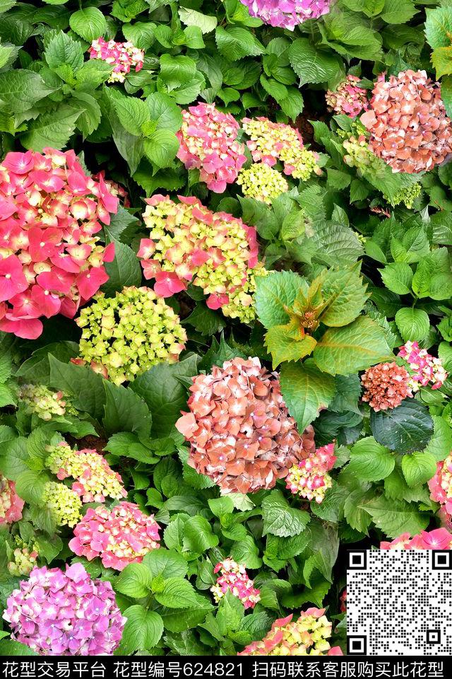 时尚花卉叶子数码印花华亿平台下载（图片编号: 624821） - 瓦栏（Walan）