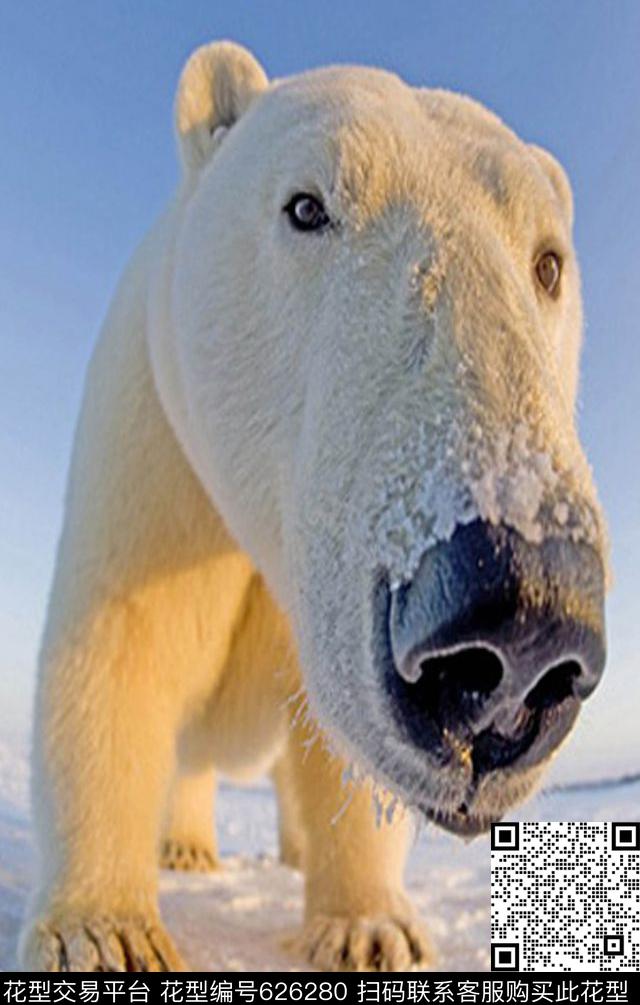 动物数码印花华亿平台下载（图片编号: 626280） - 瓦栏（Walan）