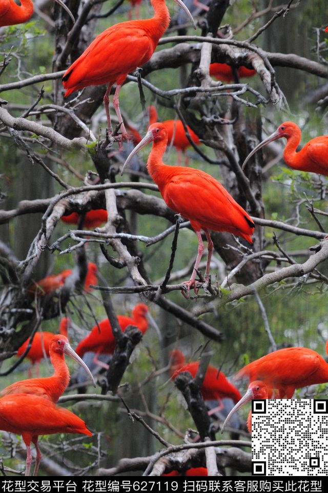 火炼鸟树木数码印花华亿平台下载（图片编号: 627119） - 瓦栏（Walan）
