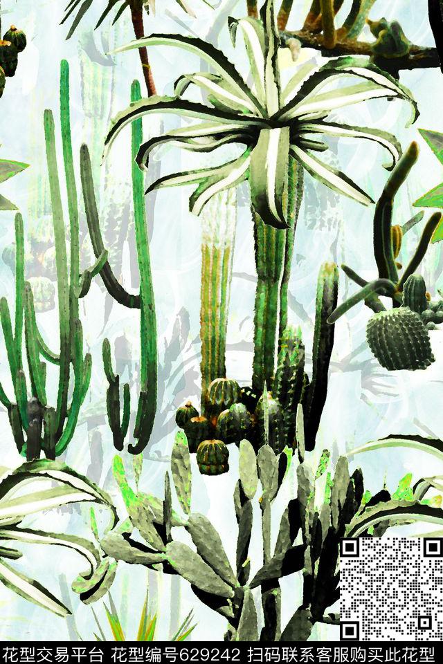 多肉植物盆栽数码印花华亿平台下载（图片编号: 629242） - 瓦栏（Walan）