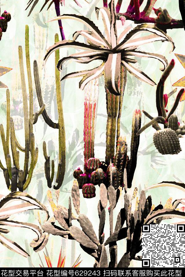 多肉植物盆栽数码印花华亿平台下载（图片编号: 629243） - 瓦栏（Walan）