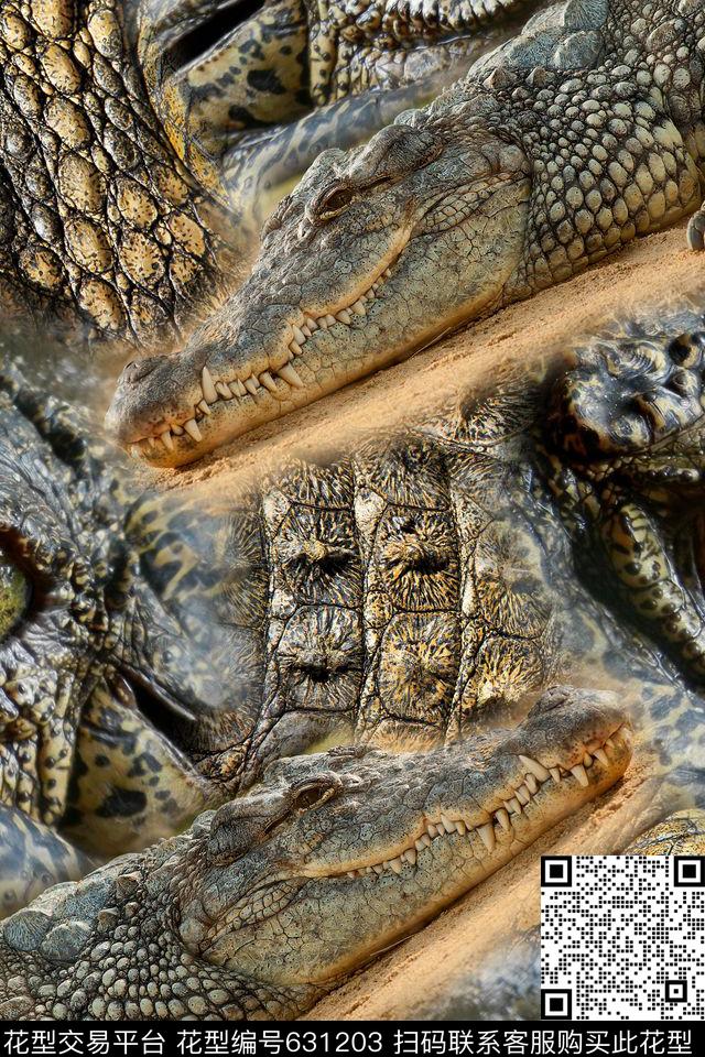 鳄鱼数码印花华亿平台下载（图片编号: 631203） - 瓦栏（Walan）