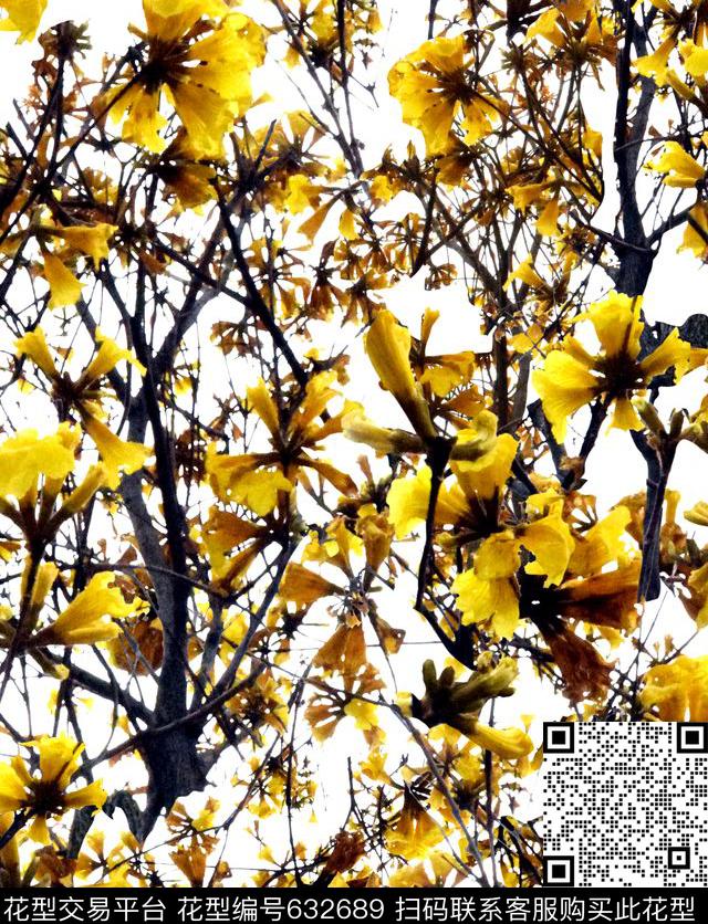 巴西风铃木泳装系列唯美原创数码印花华亿平台下载（图片编号: 632689） - 瓦栏（Walan）