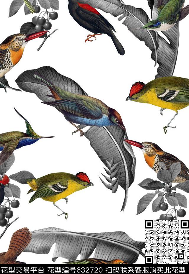 巴西手绘鸟芭蕉樱桃泳装数码印花华亿平台下载（图片编号: 632720） - 瓦栏（Walan）