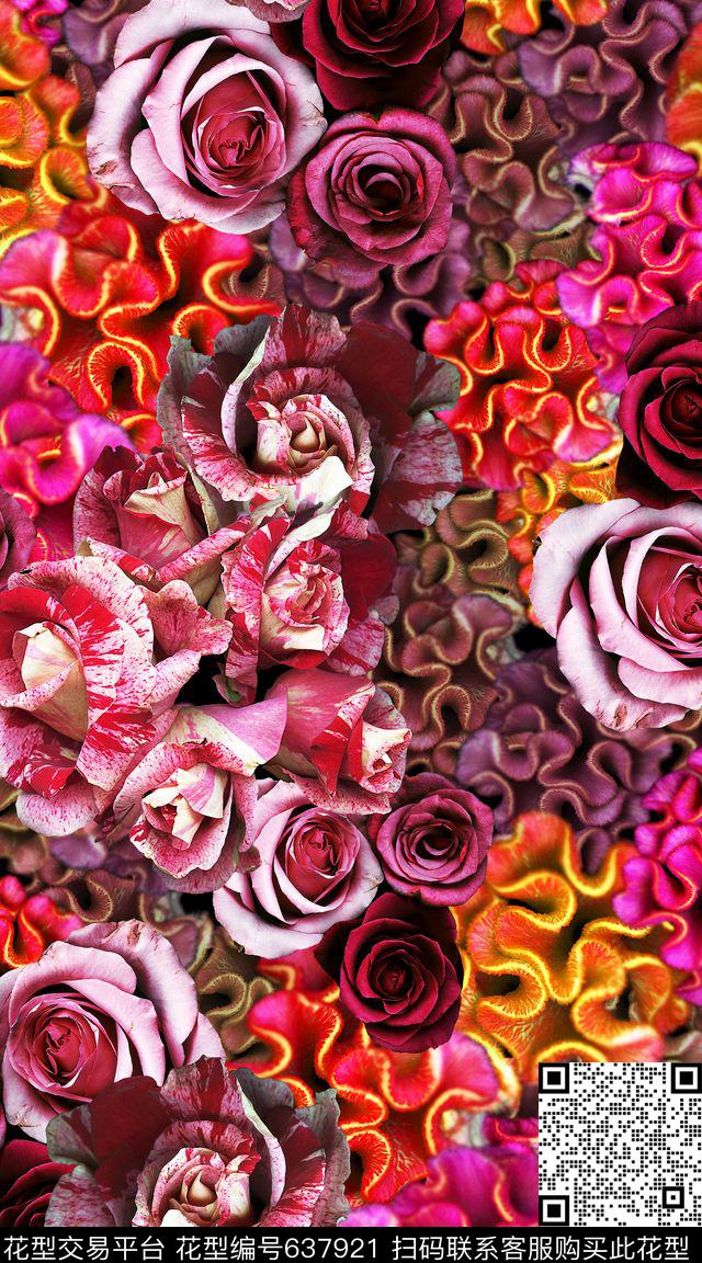 鸡冠花创意实体数码印花华亿平台下载（图片编号: 637921） - 瓦栏（Walan）