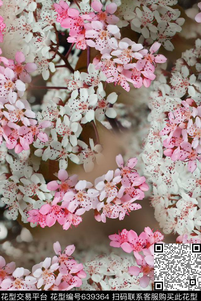 花朵花卉小花数码印花华亿平台下载（图片编号: 639364） - 瓦栏（Walan）