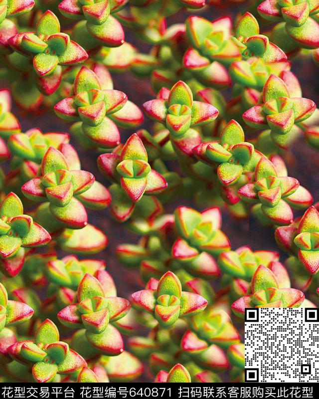 花朵花卉数码印花数码印花华亿平台下载（图片编号: 640871） - 瓦栏（Walan）