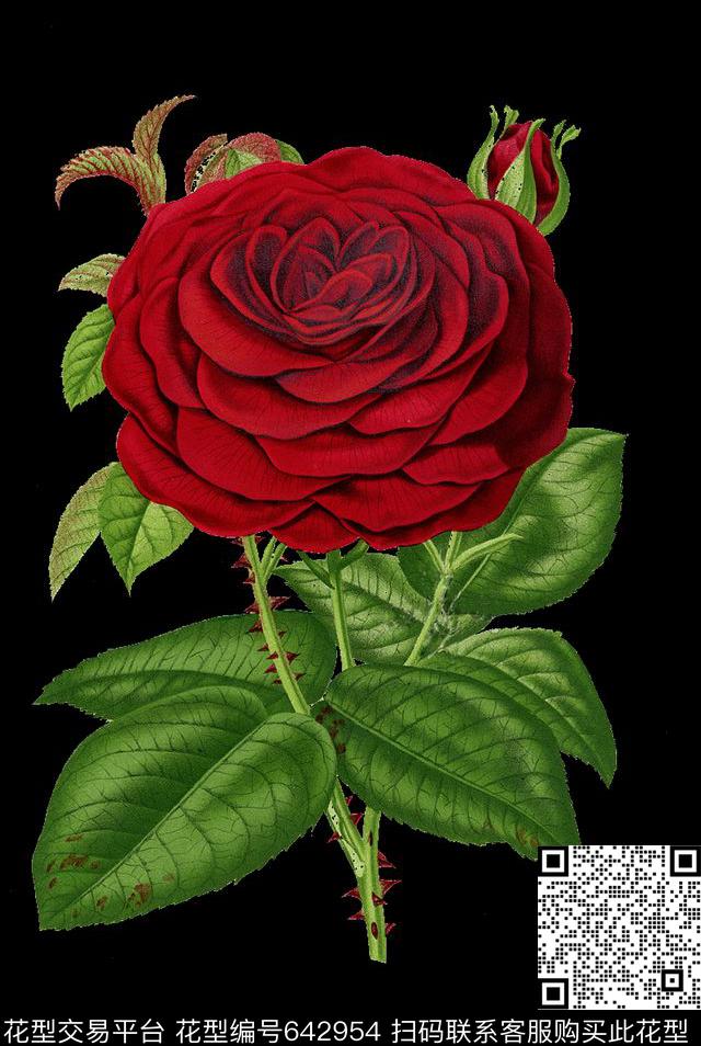 大花花朵玫瑰数码印花华亿平台下载（图片编号: 642954） - 瓦栏（Walan）
