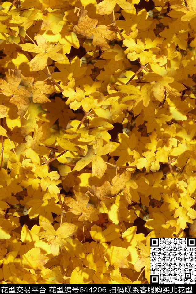 时尚抽象绘画风景树叶印花时尚女装外套印花T恤印花数码印花华亿平台下载（图片编号: 644206） - 瓦栏（Walan）