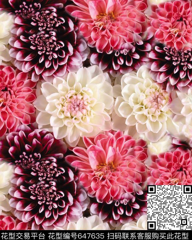 colorfull数码印花华亿平台下载（图片编号: 647635） - 瓦栏（Walan）