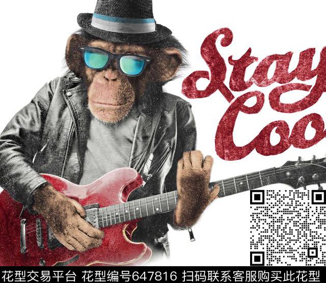 猴子提琴音乐数码印花华亿平台下载（图片编号: 647816） - 瓦栏（Walan）