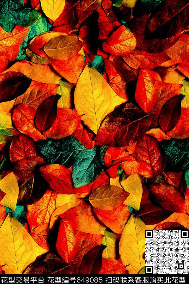 秋意绚丽色彩泳装数码印花华亿平台下载（图片编号: 649085） - 瓦栏（Walan）