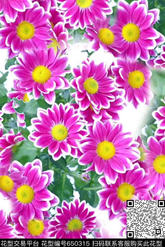 花朵花卉数码印花华亿平台下载（图片编号: 650315） - 瓦栏（Walan）