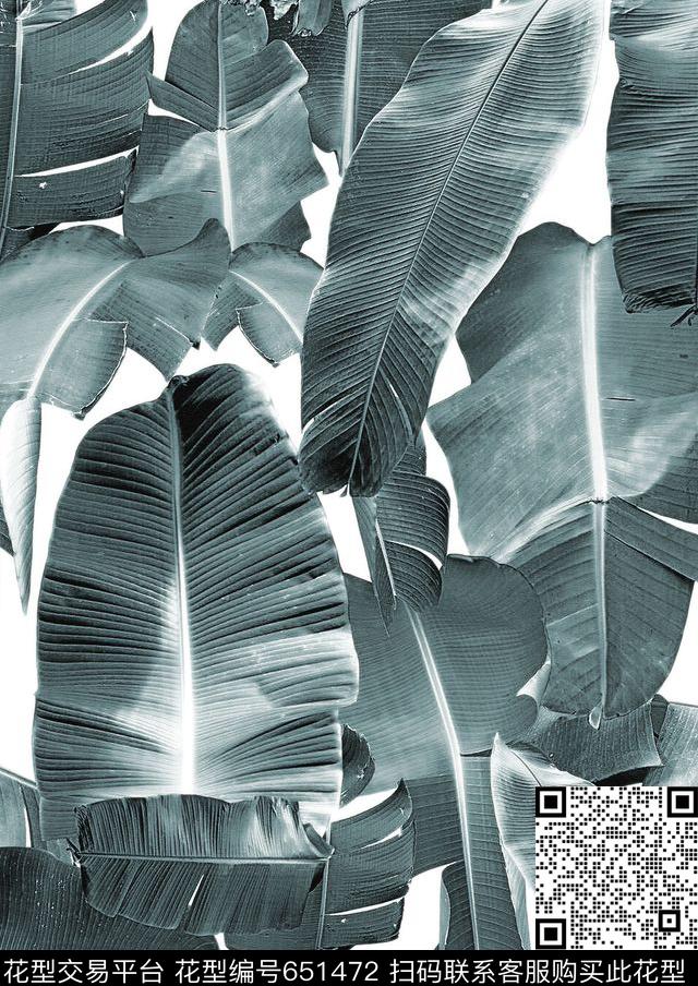 棕榈叶热带芭蕉叶数码印花华亿平台下载（图片编号: 651472） - 瓦栏（Walan）