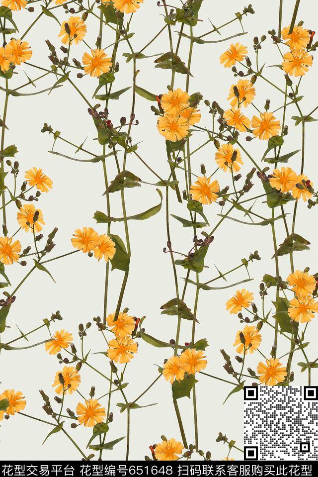 原创摄影小花摄影小花集合花卉数码印花华亿平台下载（图片编号: 651648） - 瓦栏（Walan）