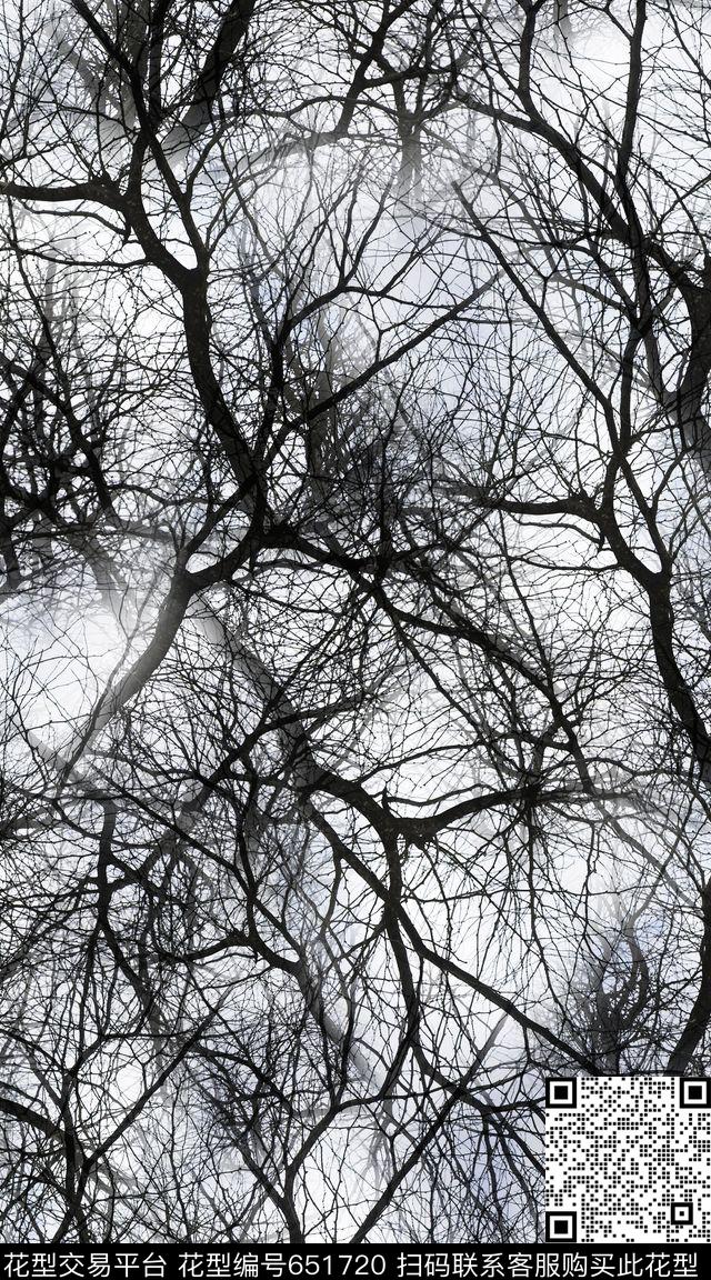 时尚创意枝条数码印花华亿平台下载（图片编号: 651720） - 瓦栏（Walan）