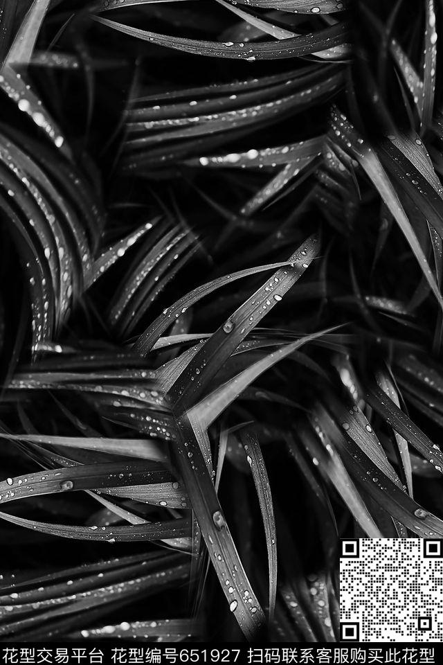 男装抽象草休闲数码印花华亿平台下载（图片编号: 651927） - 瓦栏（Walan）