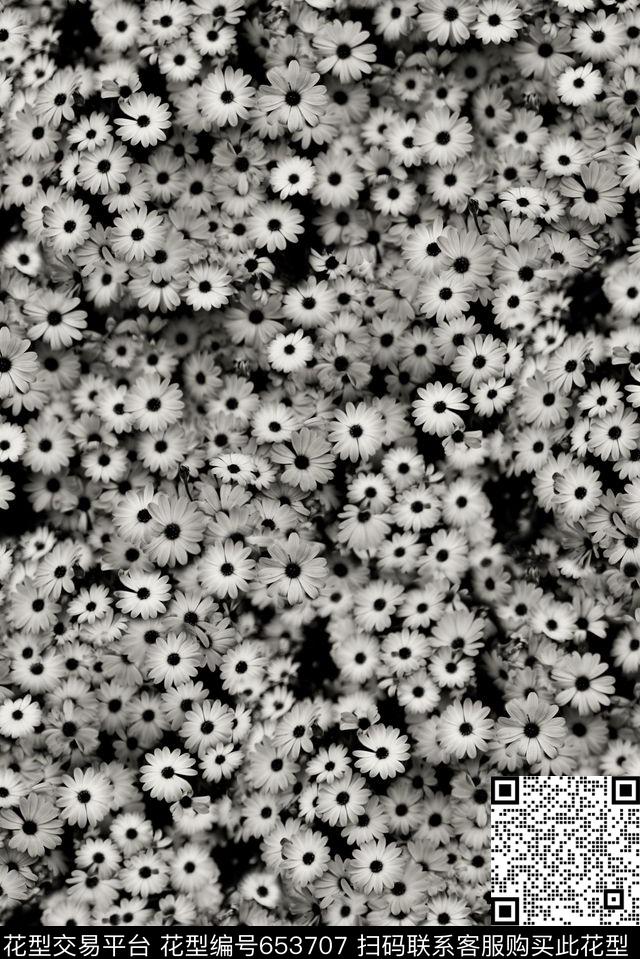 小碎花花卉黑白数码印花华亿平台下载（图片编号: 653707） - 瓦栏（Walan）