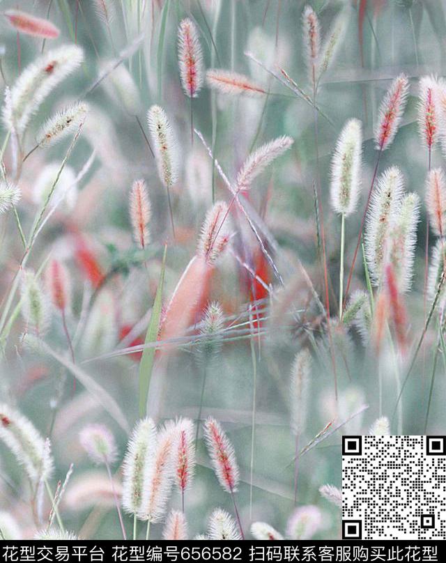 狗尾巴草田园气息浪漫温馨数码印花华亿平台下载（图片编号: 656582） - 瓦栏（Walan）
