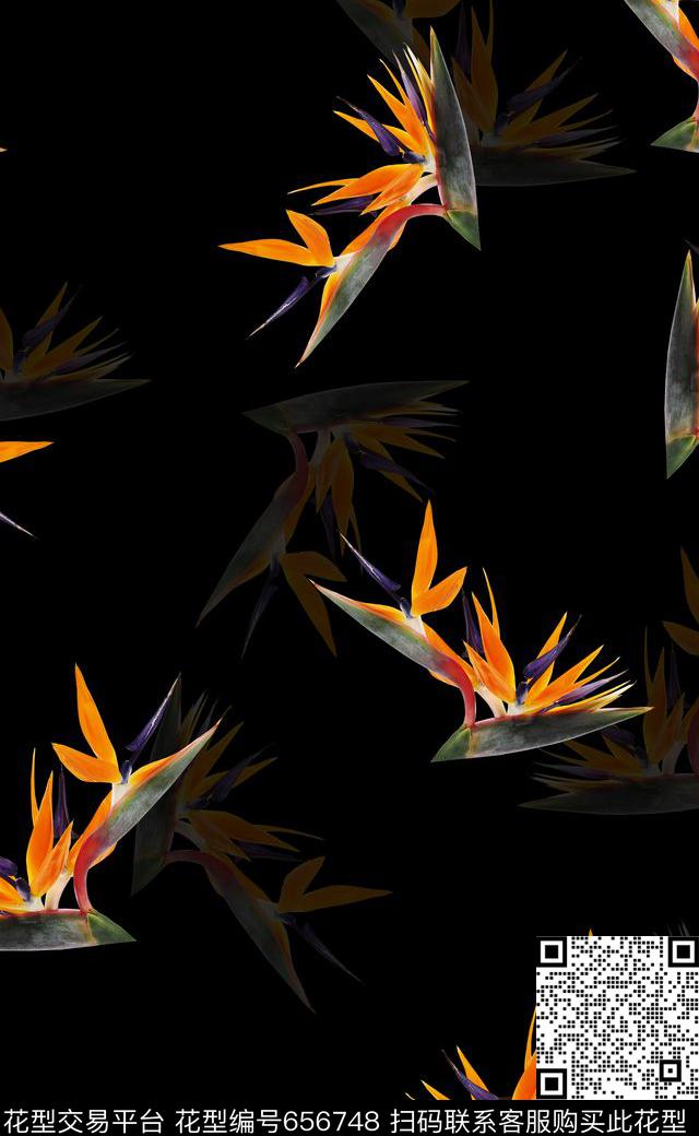 天堂鸟花比基尼泳装数码印花华亿平台下载（图片编号: 656748） - 瓦栏（Walan）