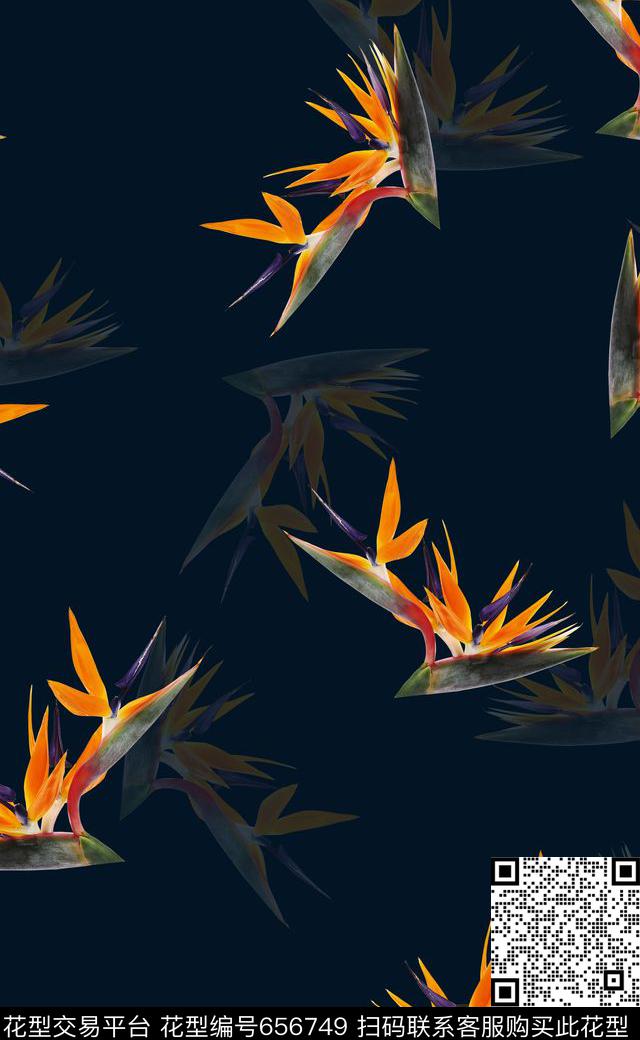 天堂鸟花比基尼泳装数码印花华亿平台下载（图片编号: 656749） - 瓦栏（Walan）