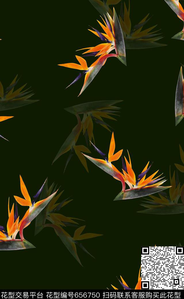 天堂鸟花比基尼泳装数码印花华亿平台下载（图片编号: 656750） - 瓦栏（Walan）